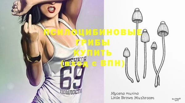 а пвп мука Лиски