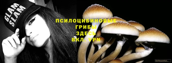 стафф Лихославль