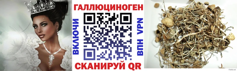 Галлюциногенные грибы Psilocybine cubensis  площадка наркотические препараты  Макаров 